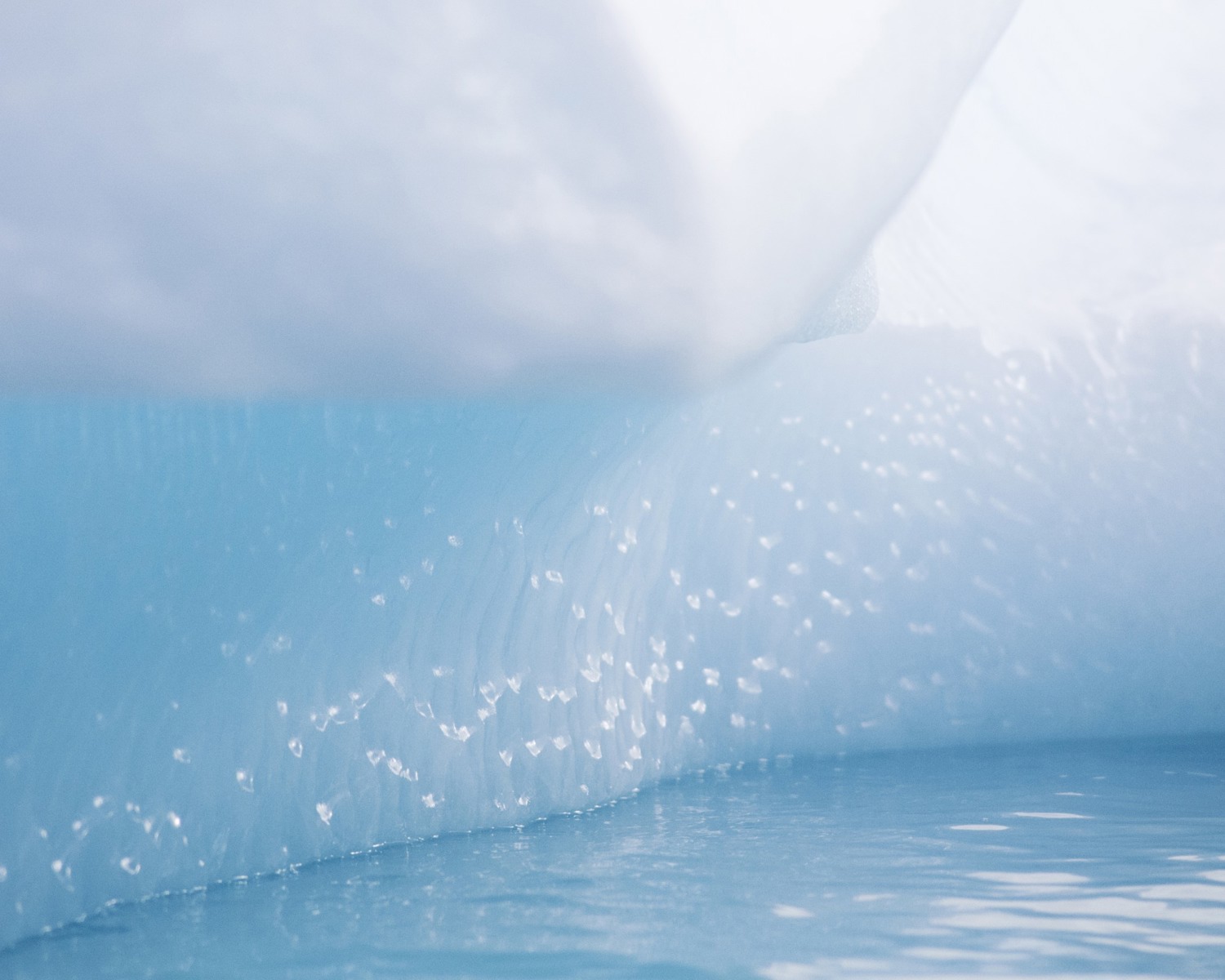 Melting glacier ice, Rødefjord, Northeast Greenland National Park (1)