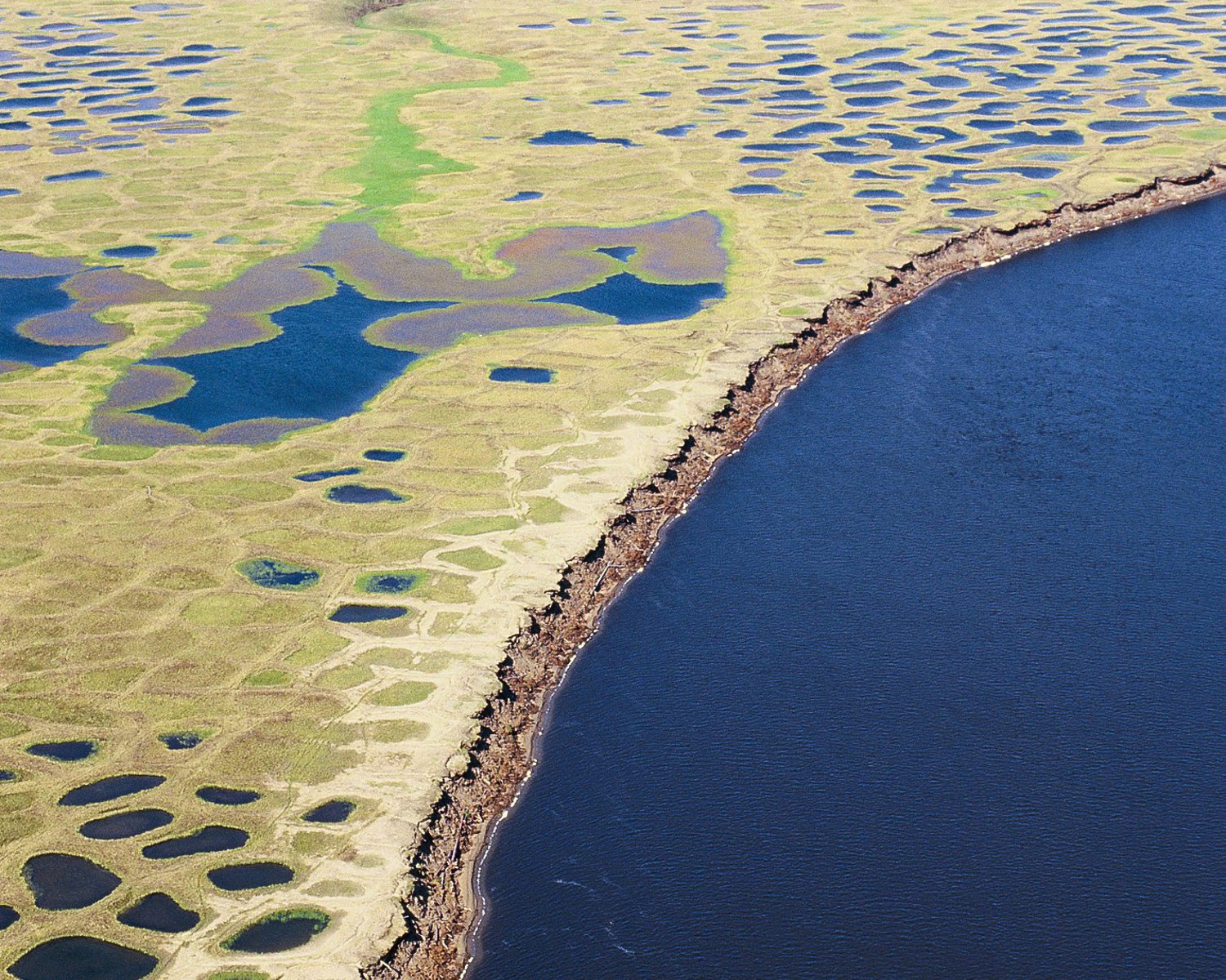 Polygon Tundra, Lena Delta