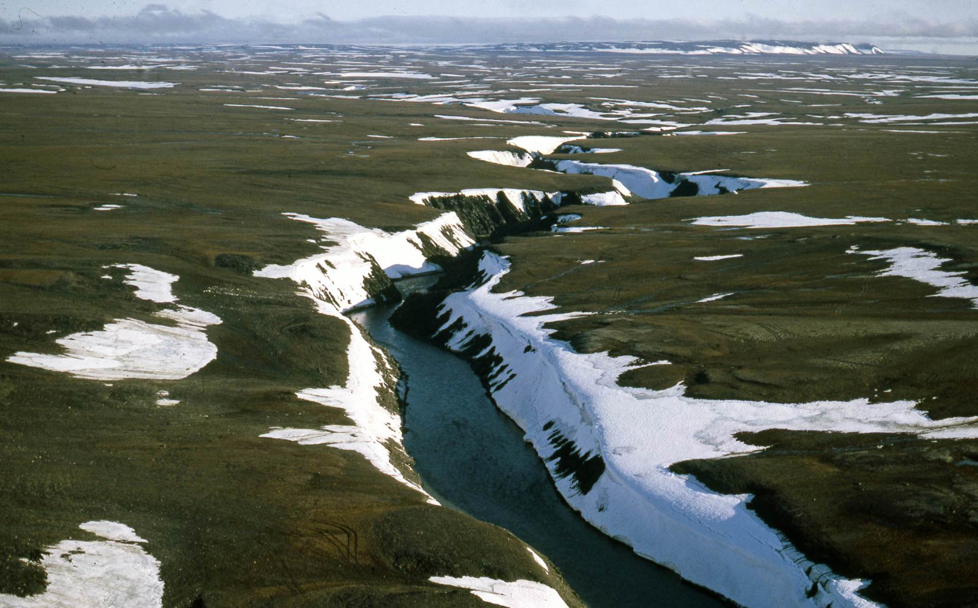 High Arctic Tundra, Northern Taymyr, Russia July 1990