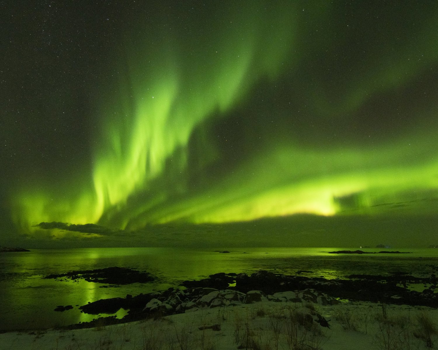 Aurora polaris, Laukvika, Lofoten (1)