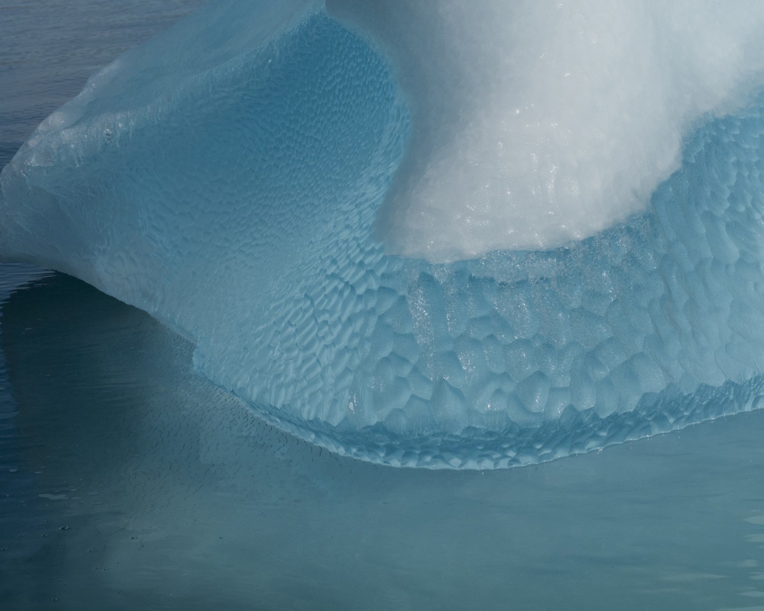 Blue Iceberg, Rødefjord, Northeast Greenland National Park