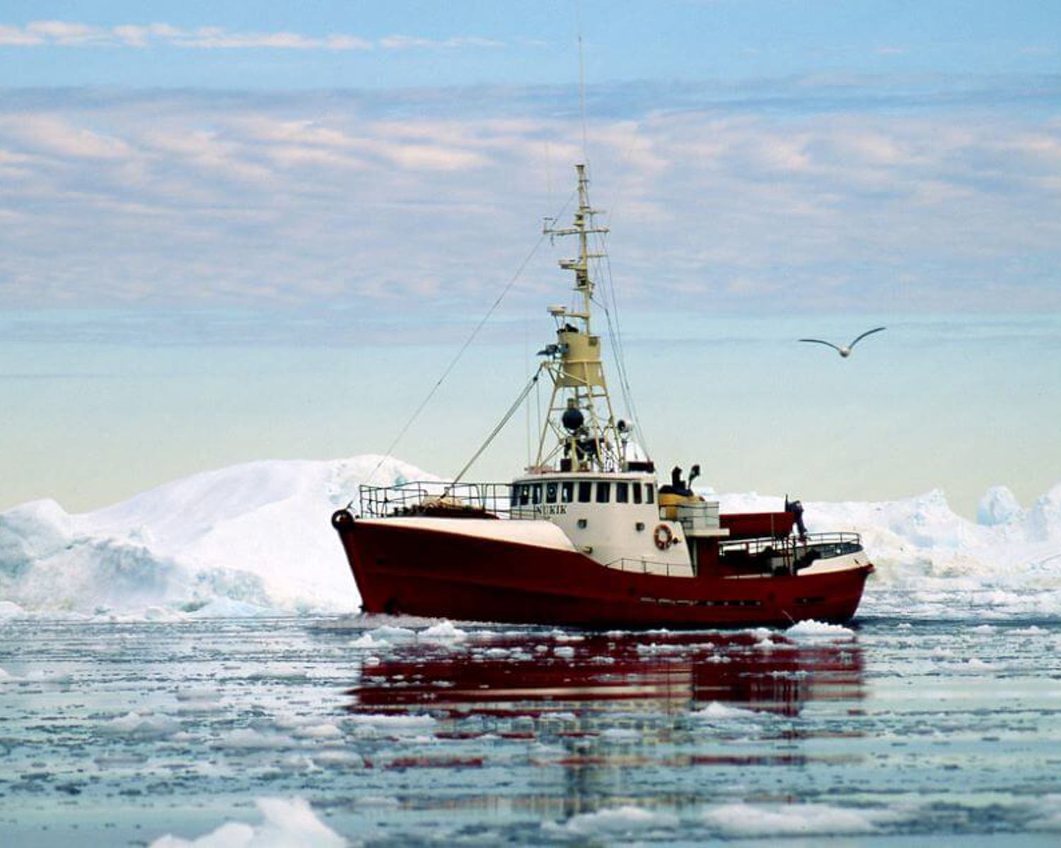 Fishing boat in between icebergs, Disco Bay, Greenland