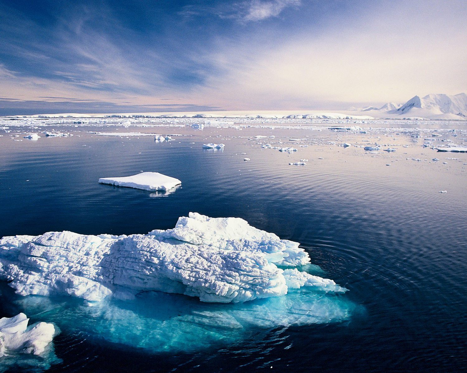 Antarctic Peninsula 1