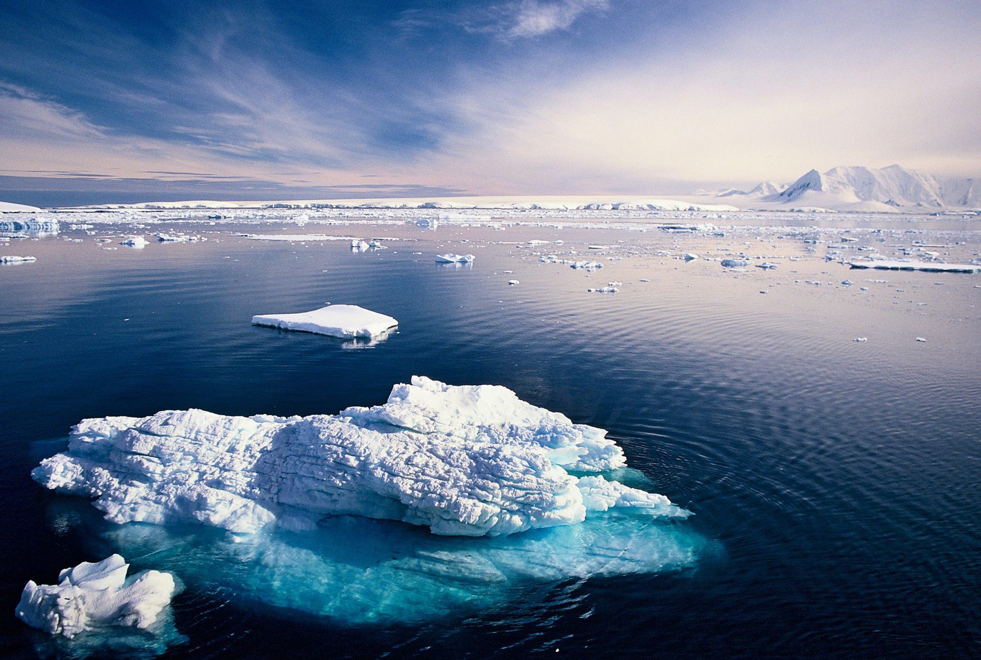 Antarctic Peninsula 1