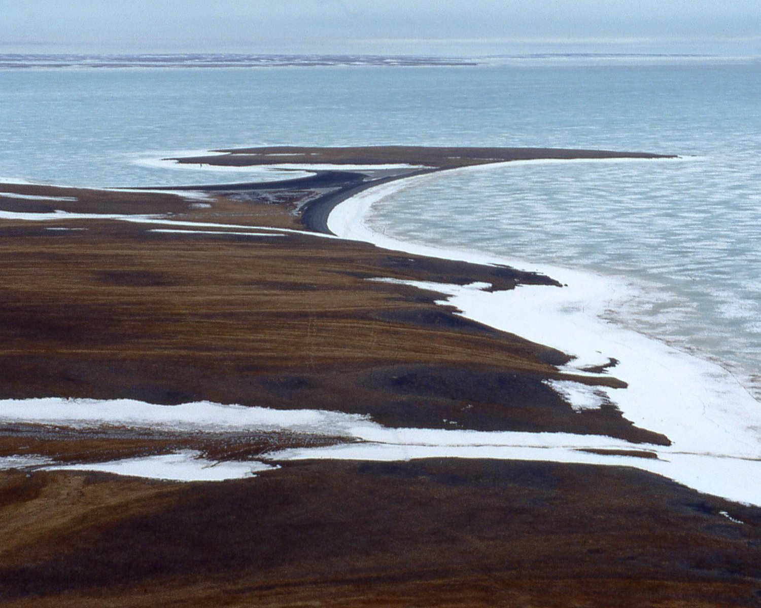 Taymyr Coastline