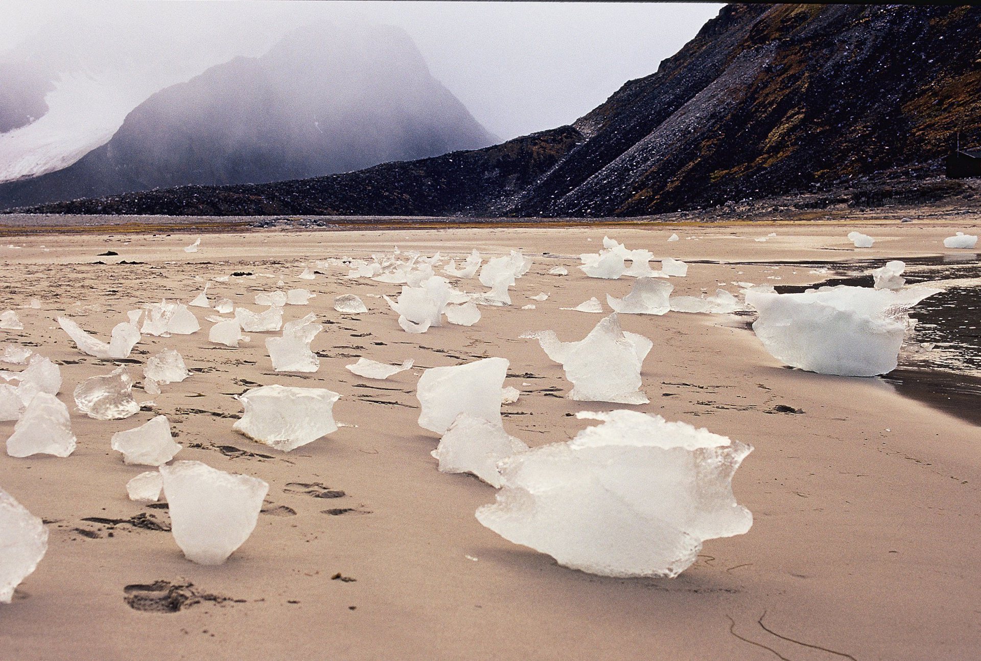 Kongsfjord, Spitzbergen