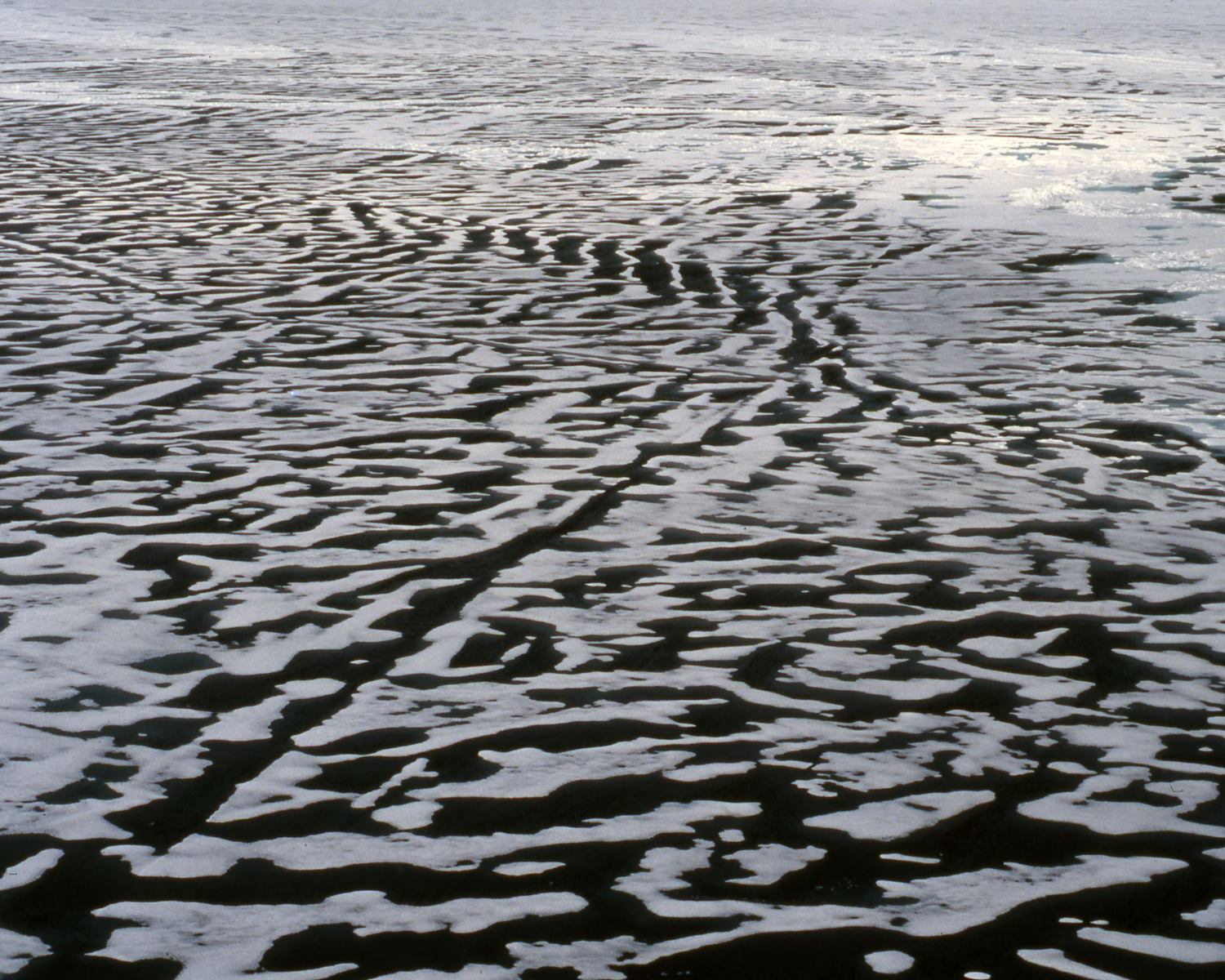 Sea ice melting, North of Dickson, Taymyr, Russia